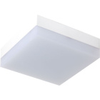Plafond BUCEFALO square 1x12W LED 960lm 6500K 120° L.12,5xW.12,5xH.5,5cm White