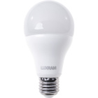 Light Bulb E27 (thick) GLS (standard) VALUE LED 20W 4000K 2000lm -A+