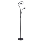 Floor Lamp GENOVA with reading arm 28W+7W LED 3000-6500K H.179xD.25cm black