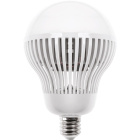 Light Bulb E40 Globe SKYLINE LED D165 100W 6400K 10000lm -A+