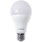 Lâmpada E27 (grosso) GLS (standard) VALUE LED 20W 6400K 2000lm -A+