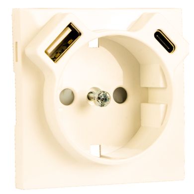 Cover Plate for Earth Socket Schuko + USB Type A and Type C, in ivory