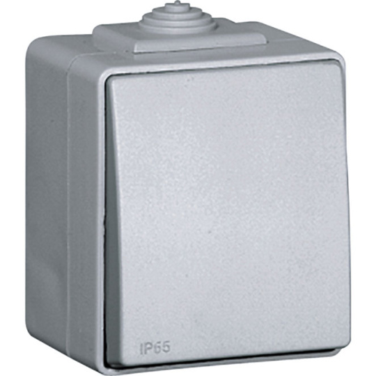 Double Two-way Switch ESTANQUE48 10A 250Vac IP65 IK07 in grey